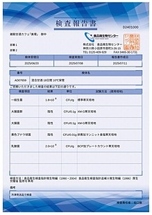 20250711個別検査報告書